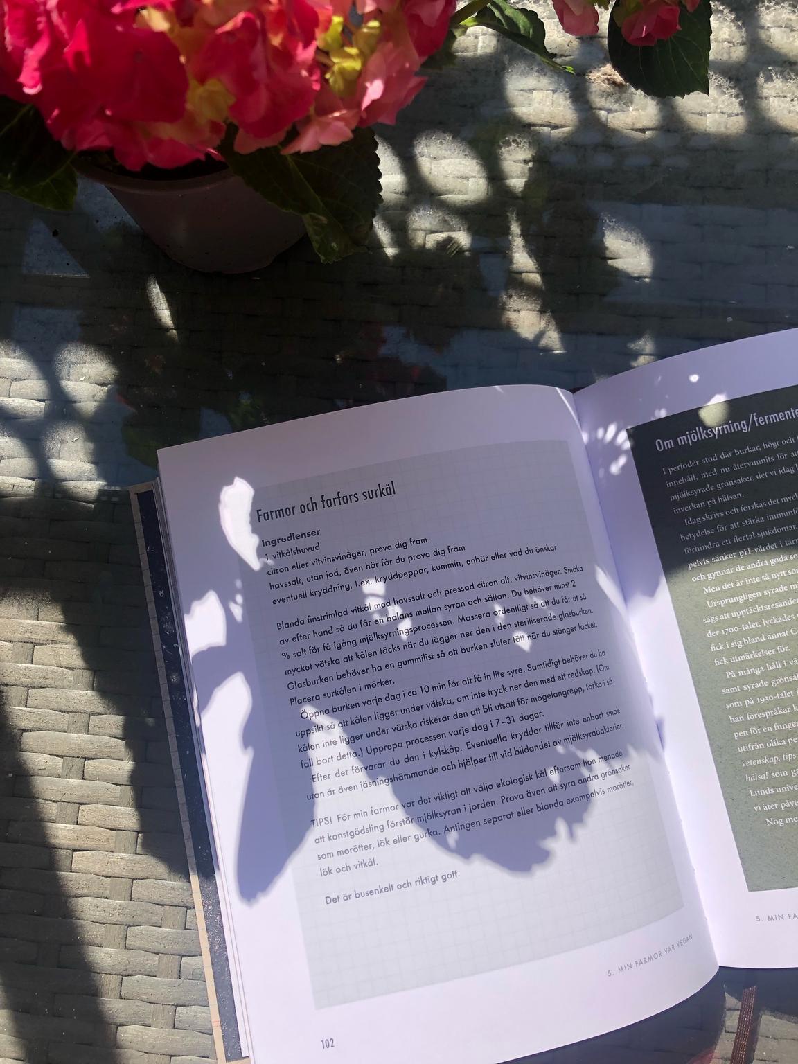 Recept "Farmors och farfars surkål", ur boken Min farmor var vegan